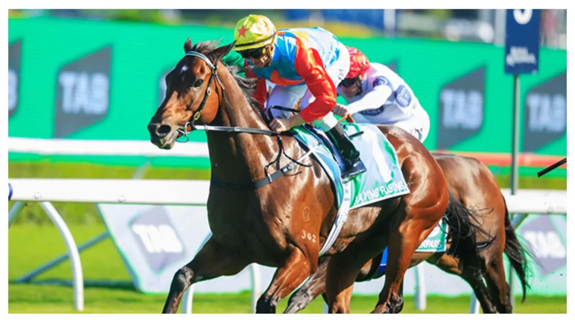 Notícias sobre corridas de cavalos: World Pool registra forte crescimento em 2025