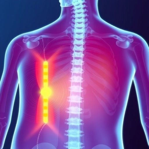 O impacto da fortificação com vitamina D na saúde óssea nos Emirados Árabes Unidos.