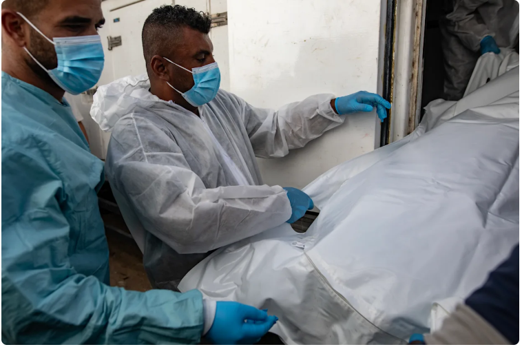 O Hospital Nasser, em Gaza, critica veementemente a alegação “infundada” da MSF sobre a presença de homens armados.