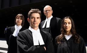 Calinos e Pixcom firmam parceria com a TF1