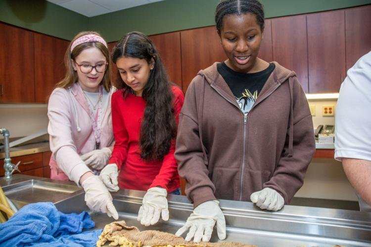 Partes do corpo impressionam estudantes de ciências biológicas no laboratório de patologia